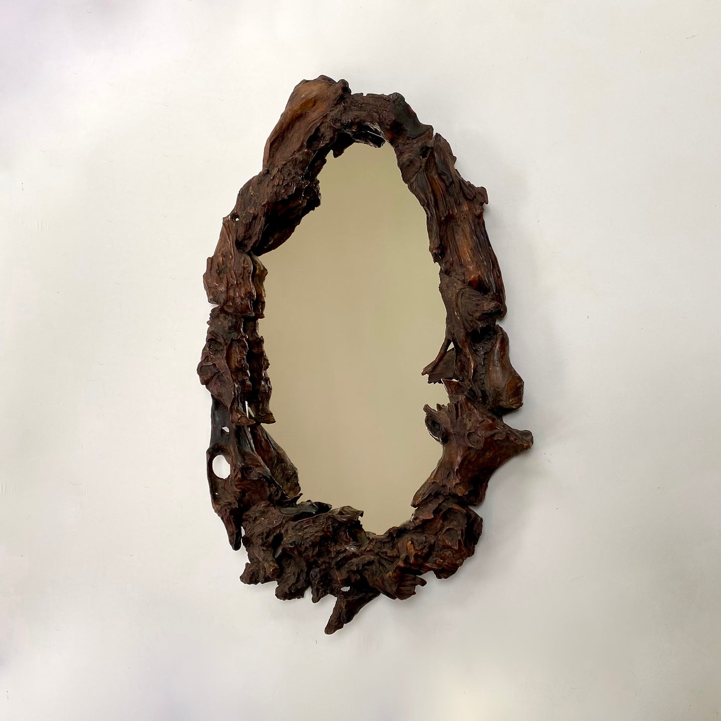Gnarly Vine root mirror