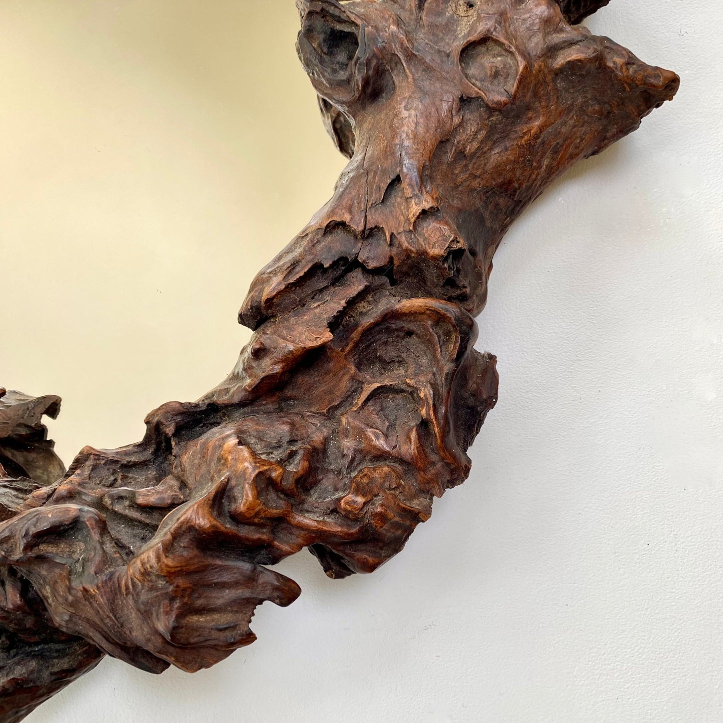 Gnarly Vine root mirror