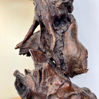 Gnarly Vine root mirror