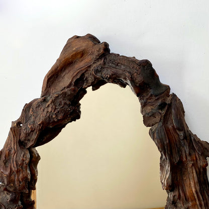 Gnarly Vine root mirror